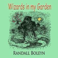 bokomslag Wizards in my Garden