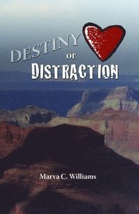 bokomslag Destiny Or Distraction