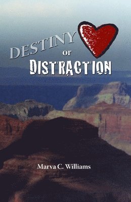 Destiny Or Distraction 1