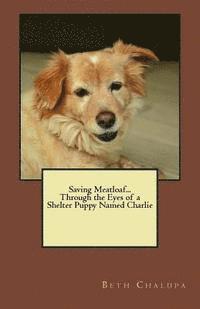 bokomslag Saving Meatloaf... Through the Eyes of a Shelter Puppy Named Charlie