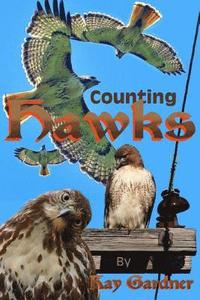 bokomslag counting hawks