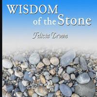 bokomslag Wisdom of the Stone