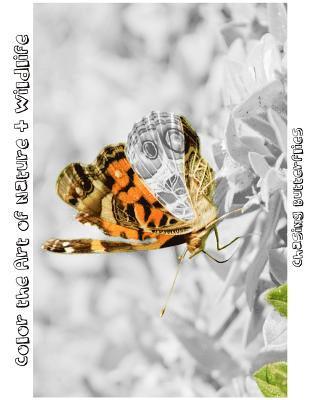 Chasing Butterflies: Color the Art of Nature + Wildlife 1