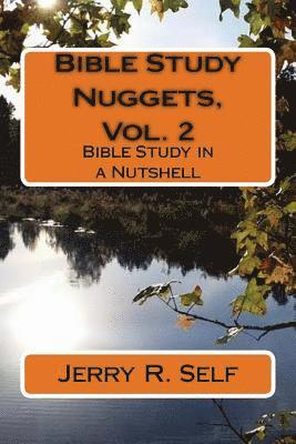 Bible Study Nuggets, Vol. 2: Bible Study in a Nutshell 1