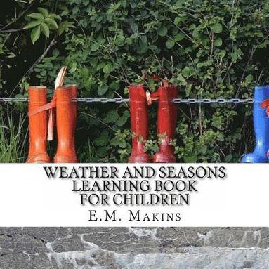 bokomslag Weather and Seasons Learning Book for Children