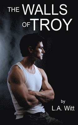 bokomslag The Walls of Troy