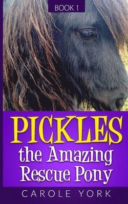 Pickles the Amazing Rescue Pony 1