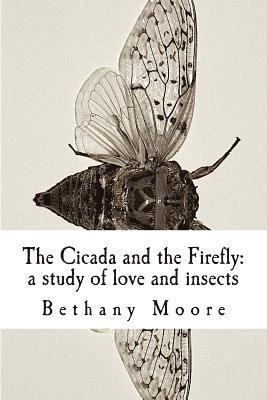 bokomslag The Cicada and the Firefly: a study of love and insects
