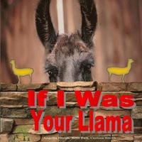 bokomslag If I Was Your Llama: Llamas and Alpacas
