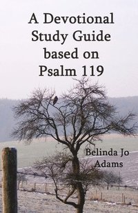 bokomslag Psalm 119 Devotional & Study Guide