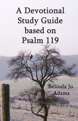 Psalm 119 Devotional & Study Guide 1