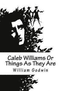 bokomslag Caleb Williams Or Things As They Are