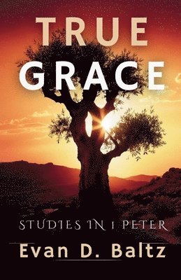 bokomslag Learning to Stand Fast in True Grace: Studies in 1 Peter