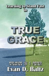 Evan D. Baltz - Learning to Stand Fast in True Grace: Studies in 1 Peter, Häftad