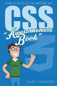 bokomslag Css: CSS Awesomeness Book - Learn To Write CSS The Awesome Way!