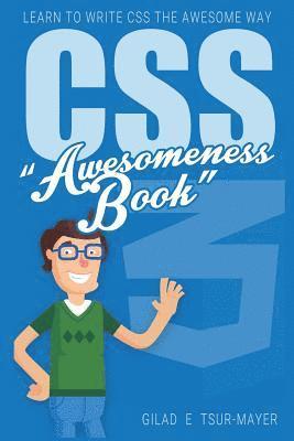 Css: CSS Awesomeness Book - Learn To Write CSS The Awesome Way! 1