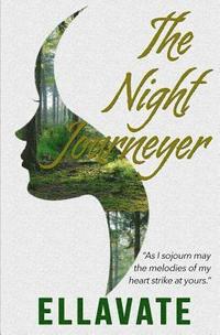 bokomslag The Night Journeyer
