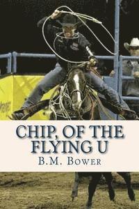 bokomslag Chip of the Flying U