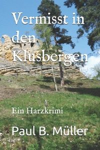bokomslag Vermisst in den Klusbergen: Ein Harzkrimi
