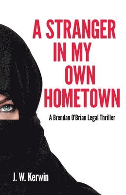 bokomslag A Stranger In My Own Hometown: A Brendan O'Brian Legal Thriller