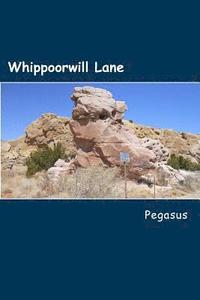 bokomslag Whippoorwill Lane: Precious Loves Separated - Searches to Reunite