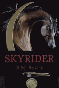 Skyrider 1