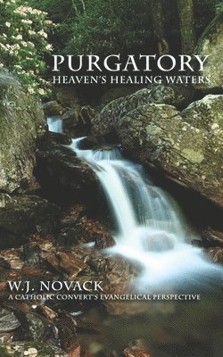 Purgatory: Heaven's Healing Waters 1