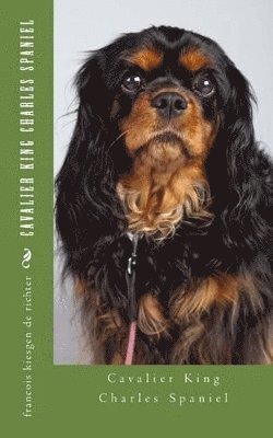 bokomslag Cavalier King Charles Spaniel