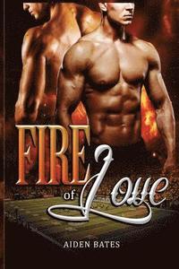 bokomslag Fire of Love