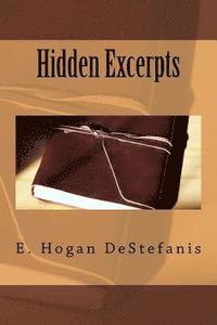 bokomslag Hidden Excerpts