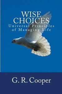 bokomslag Wise Choices