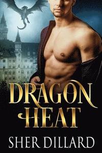 bokomslag Dragon Heat