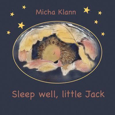 Sleep well, little Jack: A story about Jack the little hedgehog who didn't build a nest for the winter 1