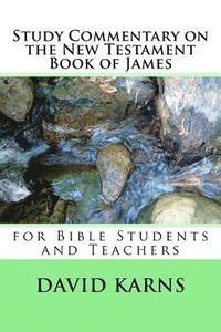 bokomslag Study Commentary on the New Testament Book of James