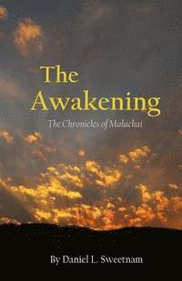 bokomslag The Awakening