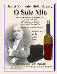 bokomslag O Sole Mio: Arranged for Tenor and Small Ensemble