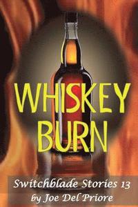bokomslag Whiskeyburn: Swirchblade Stories 13