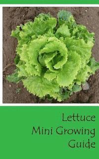 bokomslag Lettuce Mini Growing Guide