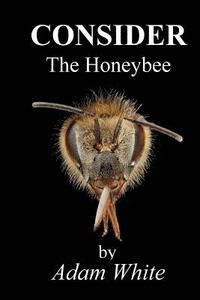 bokomslag Consider The Honeybee