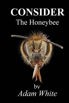 Consider The Honeybee 1