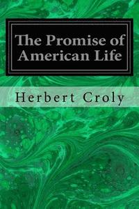 bokomslag The Promise of American Life