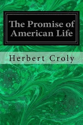The Promise of American Life 1