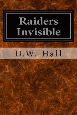 bokomslag Raiders Invisible