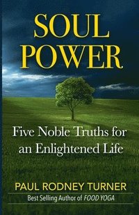 bokomslag Soul Power: 5 Noble Truths for a Successful Life