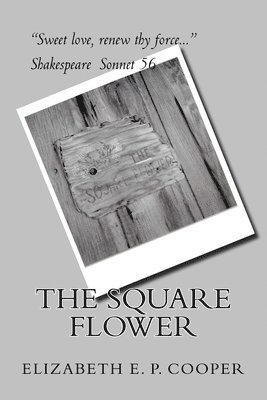 The Square Flower 1