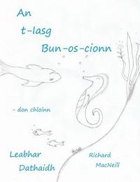 bokomslag An t-Iasg Bun-os-cionn