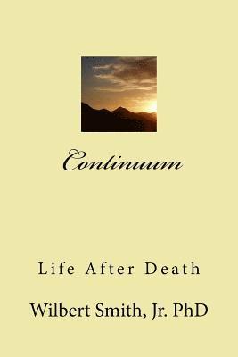 bokomslag Continuum: Life After Death