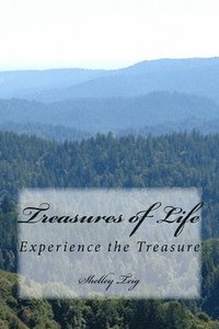 bokomslag Treasures of Life: Experience the treasure