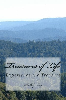 bokomslag Treasures of Life: Experience the treasure