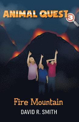 David R. Smith - Fire Mountain, Häftad. Tillgänglighet: Lägg i varukorg